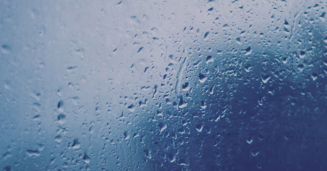 モネの睡蓮に想いを重ねて――心をほどく入浴剤「Bath of The Art」